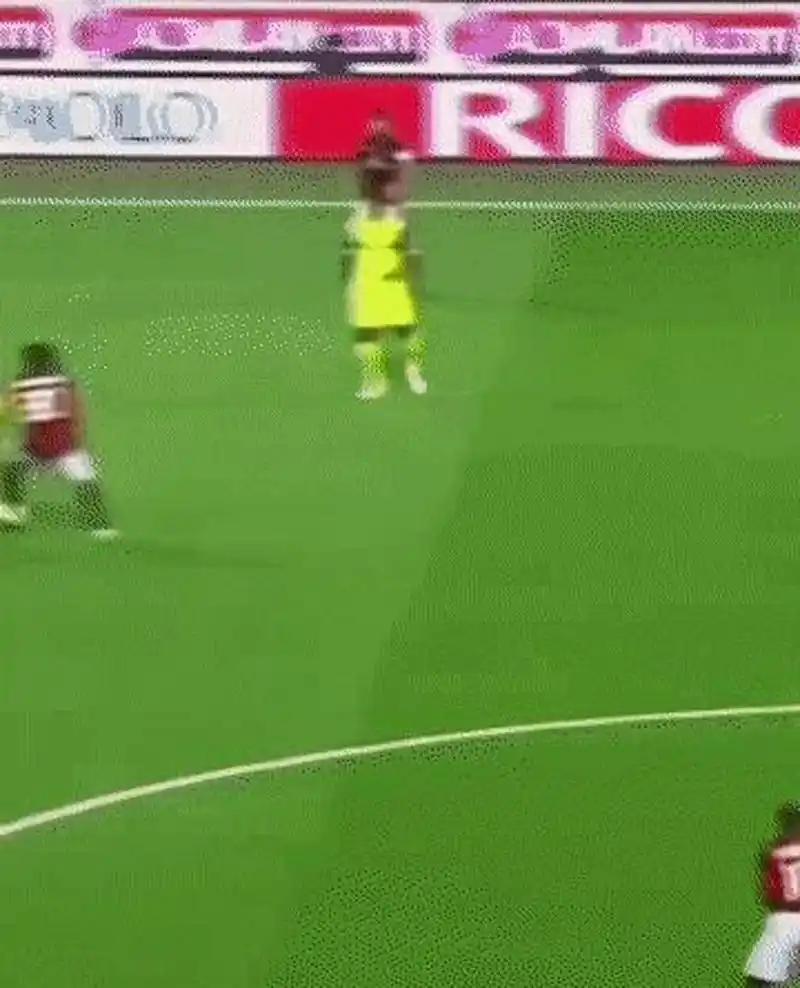 但可以肯定 但可以肯定