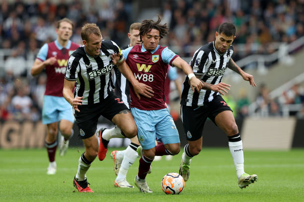 尤其是在体 尤其是在体